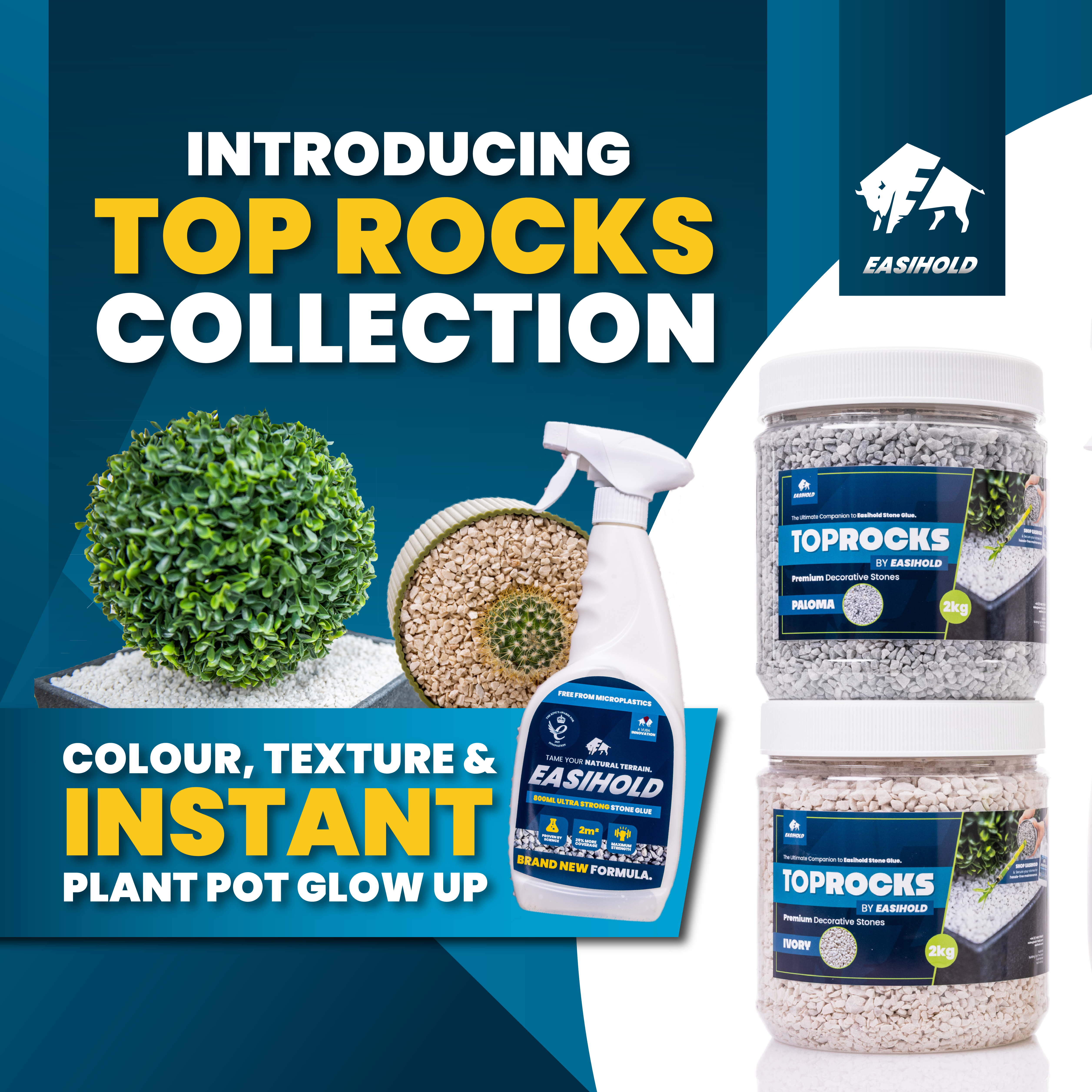 Level Up Your Plant Pots with Our New Top Rocks!